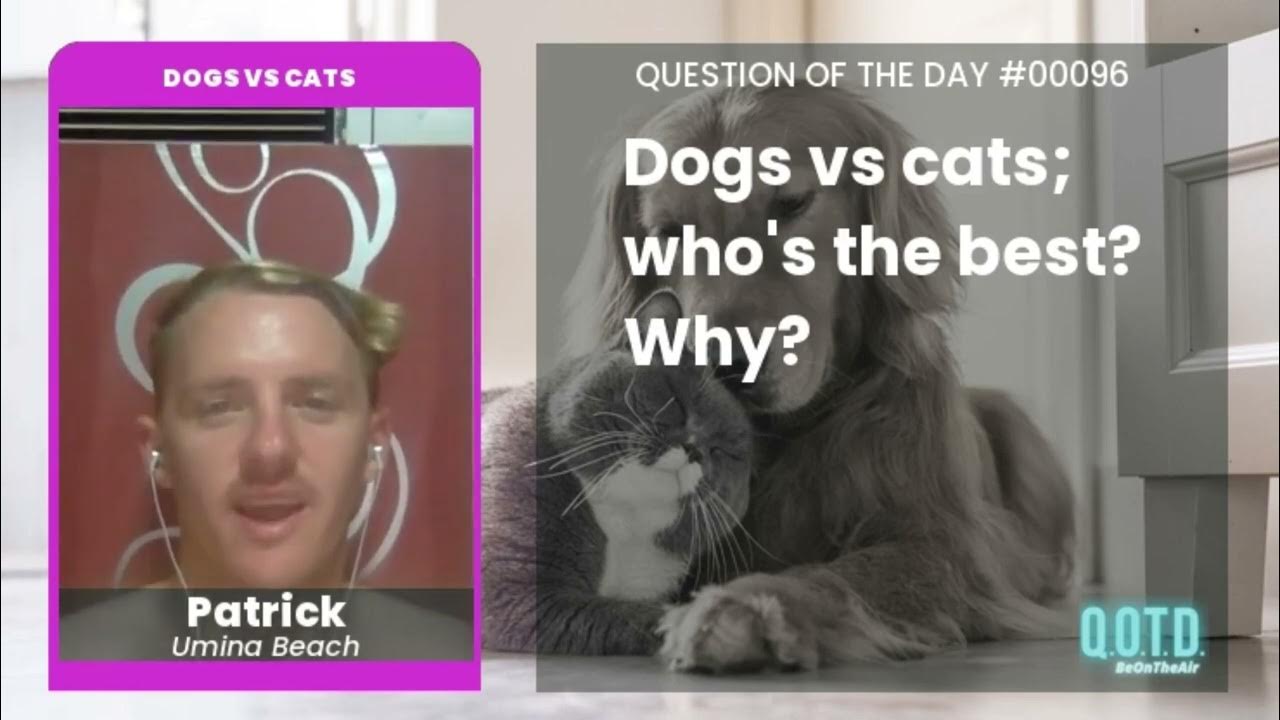 Video thumbnail for Patrick says cats are lazy and dogs are awesome. Period!