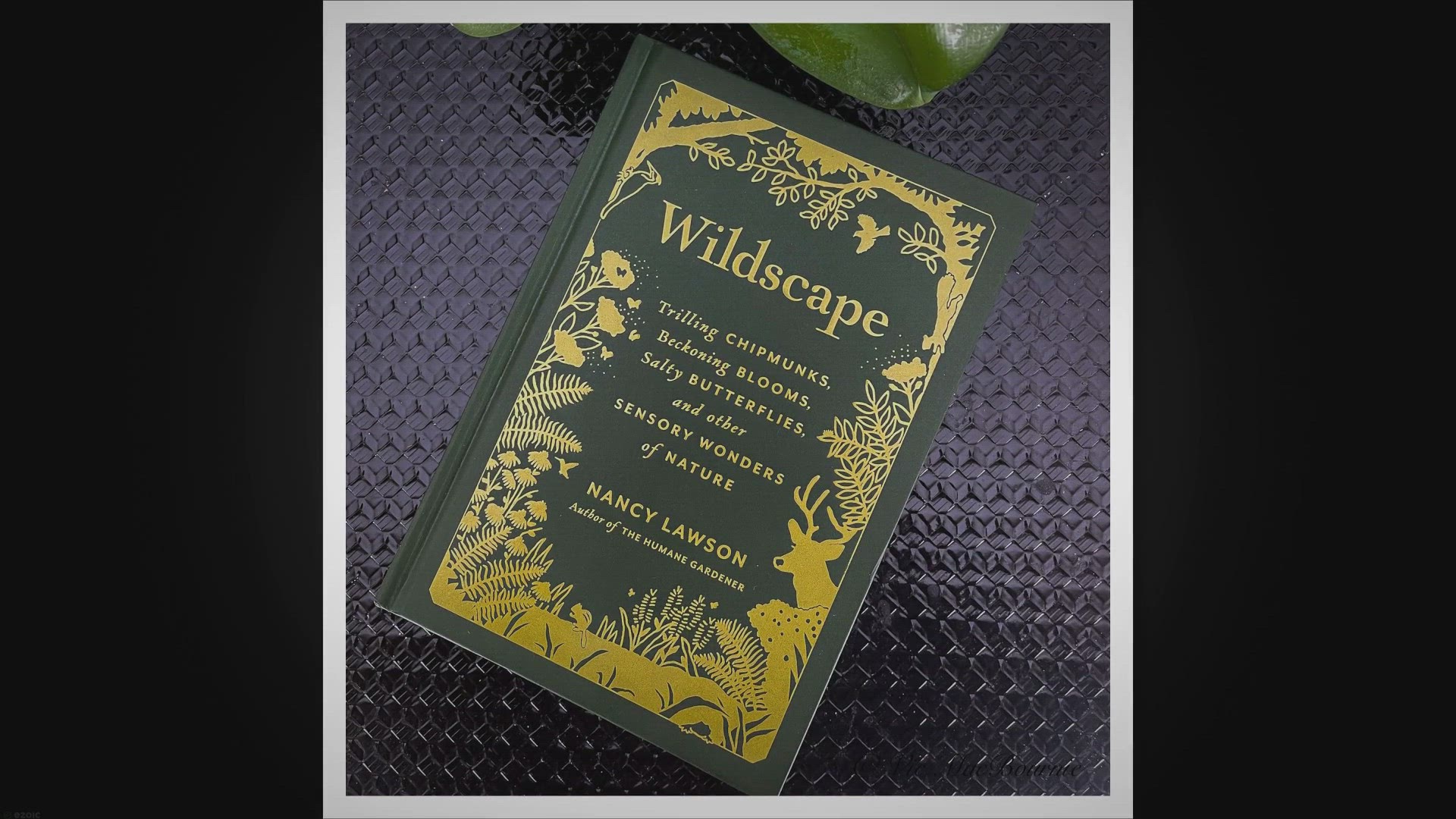 'Video thumbnail for Wildscape: Exploring the senses to live in peace in our gardens'
