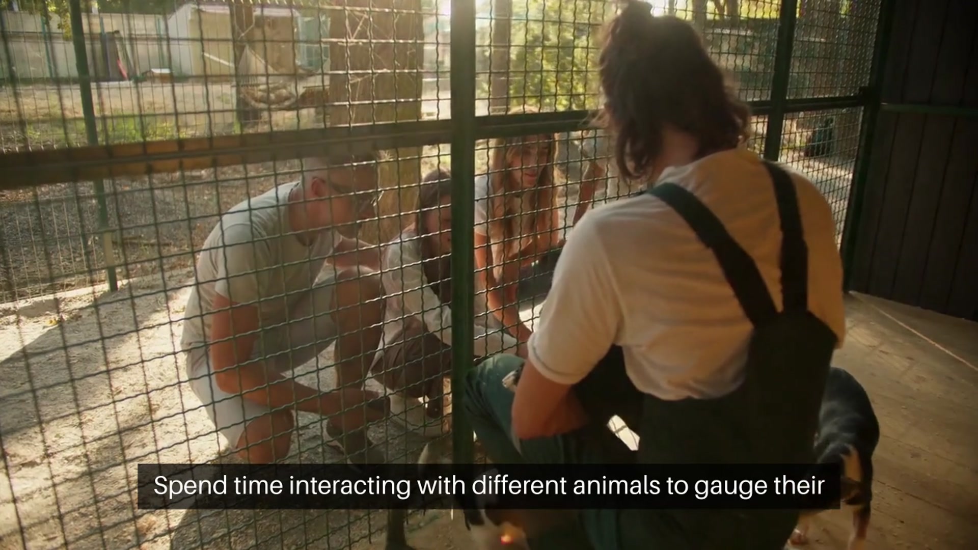 Video thumbnail for Adopting a Pet Tips from Adopters