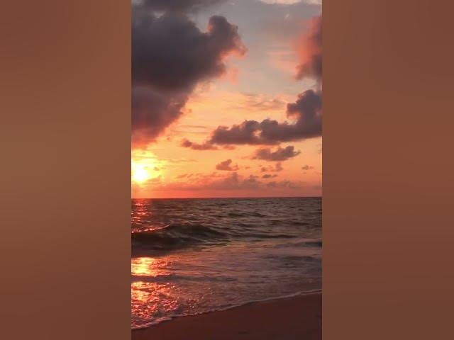 Video thumbnail for #beach #peacefulwaves #relaxing #peace #nature