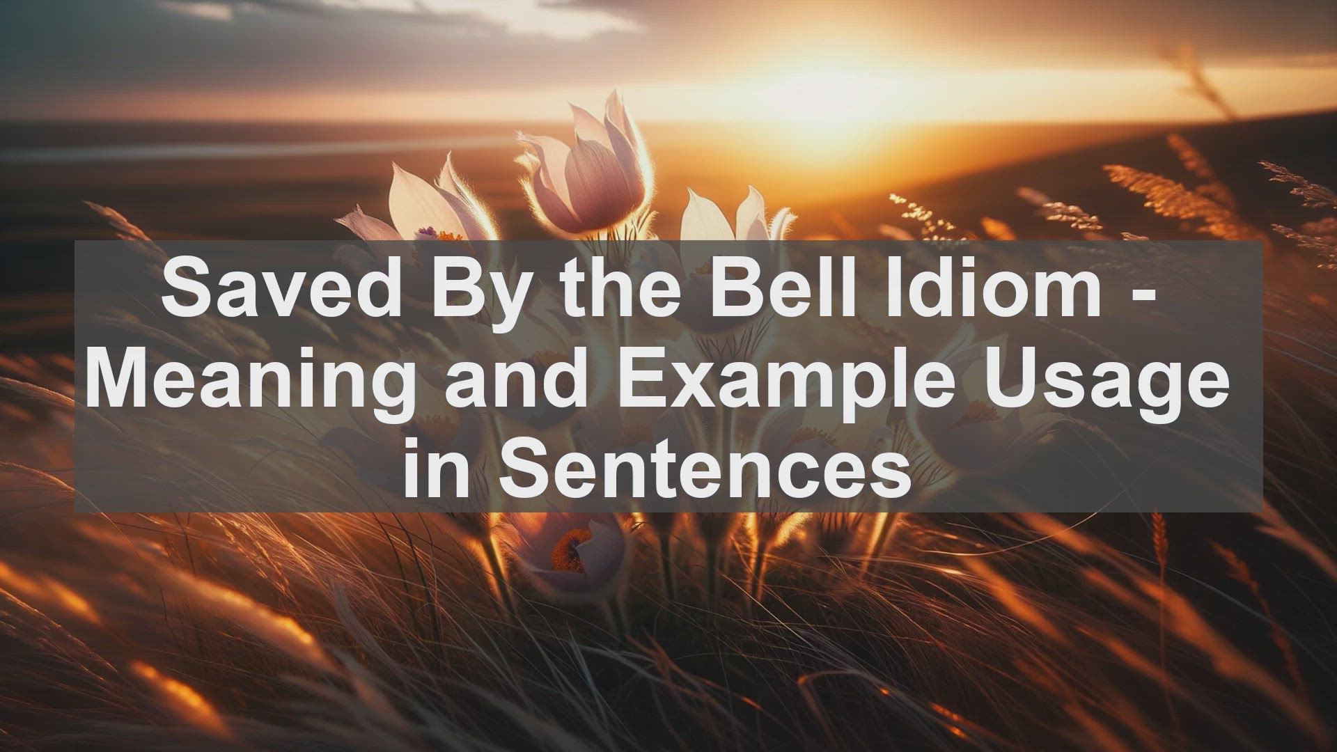 Bell Ringing Spiritual Meaning | TikTok