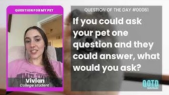 Video thumbnail for Vivian wants to ask her pet a question about certain peeing habits...