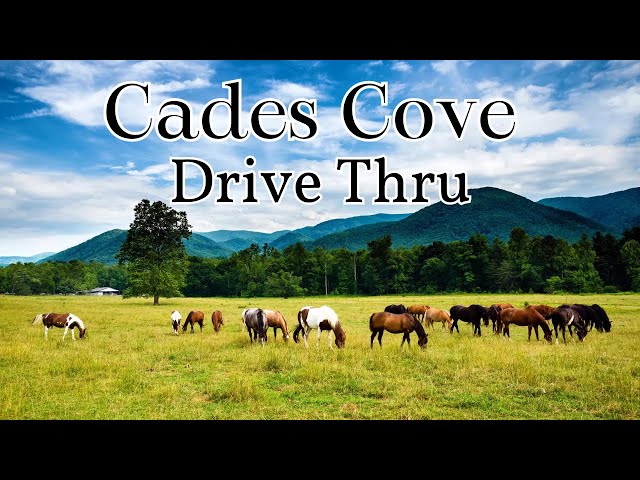 Video thumbnail for Ride With us Thru Cades Cove