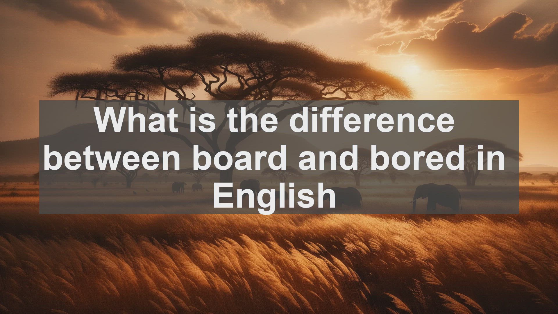 'Video thumbnail for What is the difference between board and bored in English?'