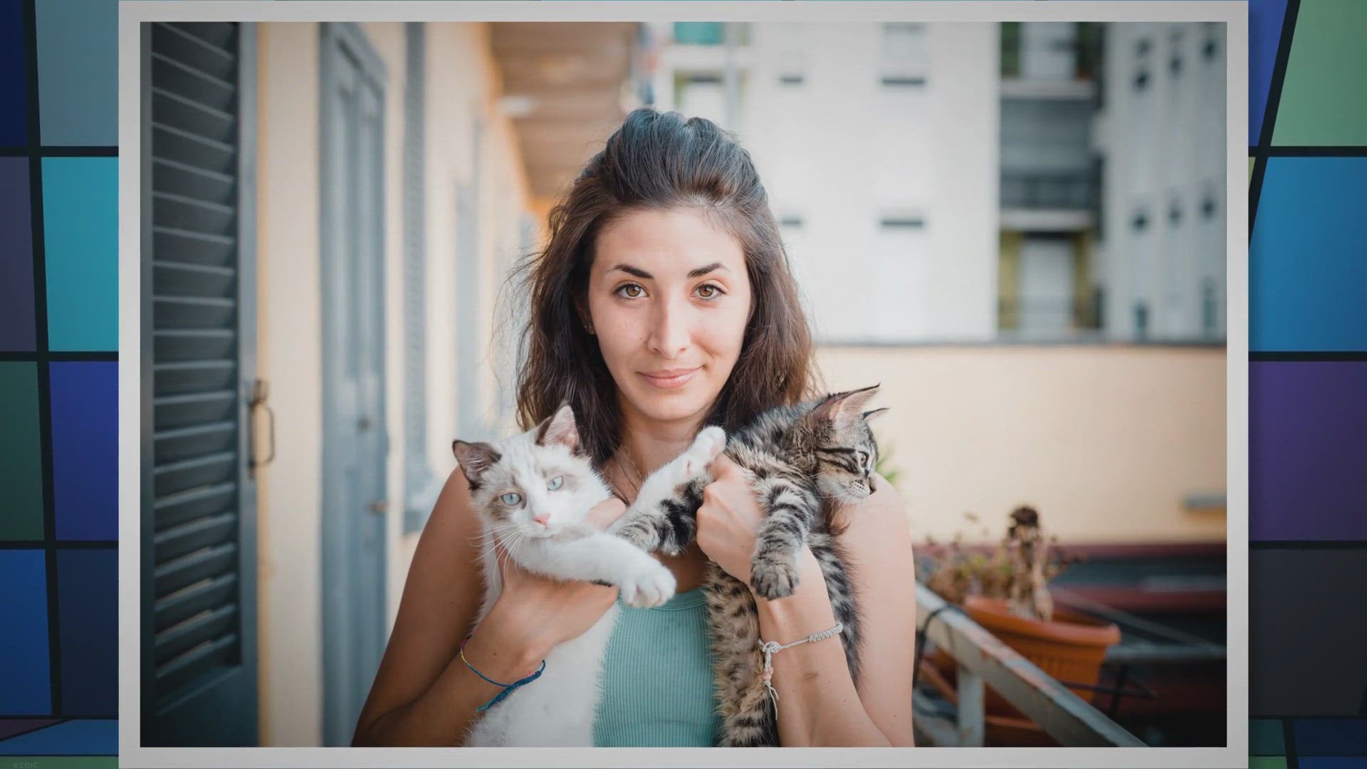 Video thumbnail for Do Cats Know That They Are Cute?
