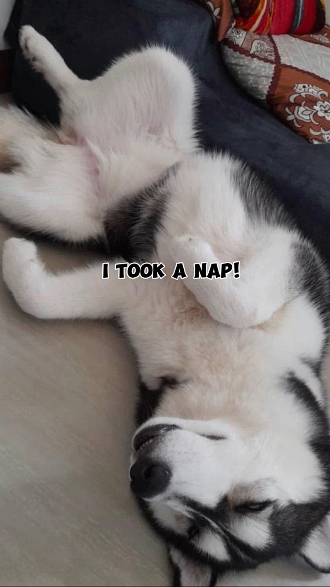 Playlist thumbnail for Lillian