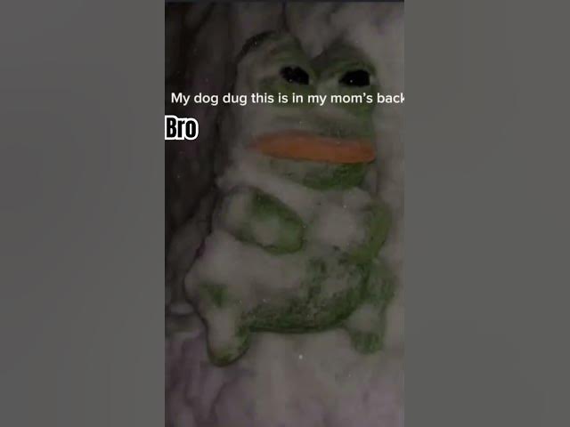 Video thumbnail for Bro my childhood backyard