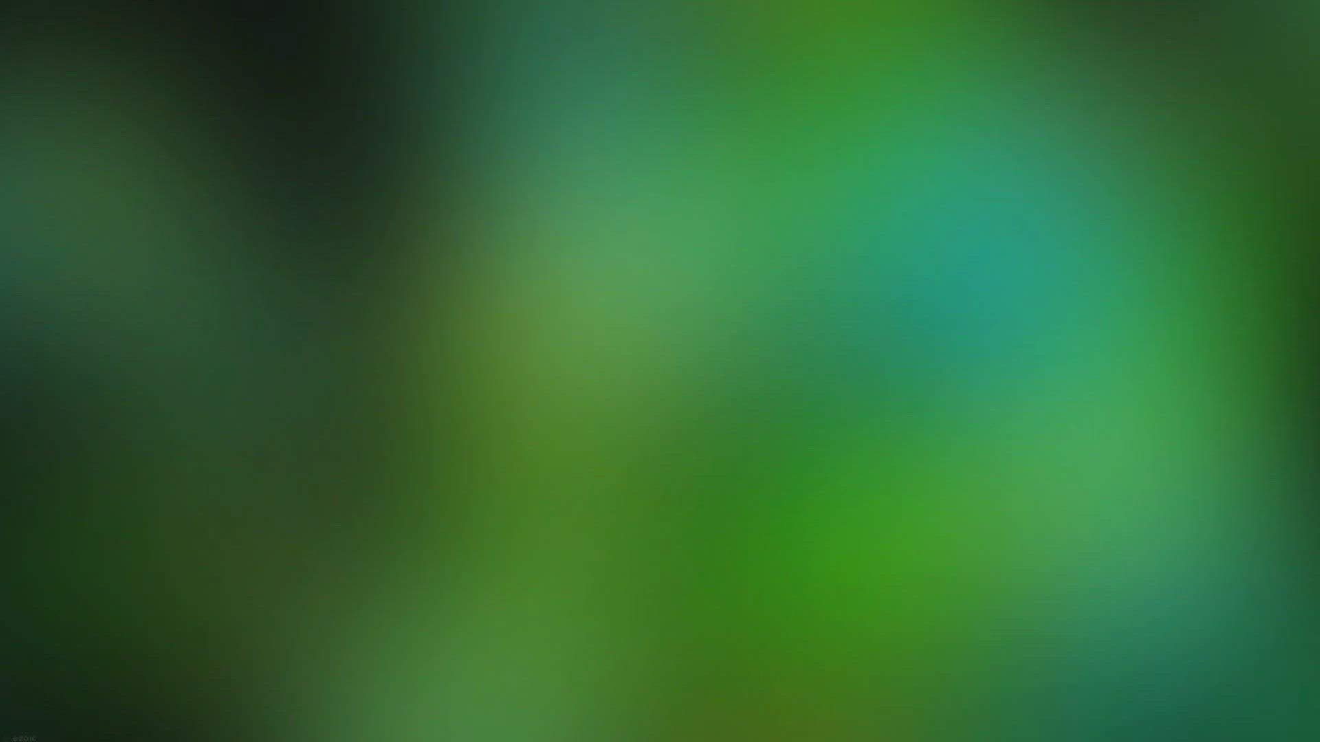 Video thumbnail for Conquering the National Guard Fitness Test