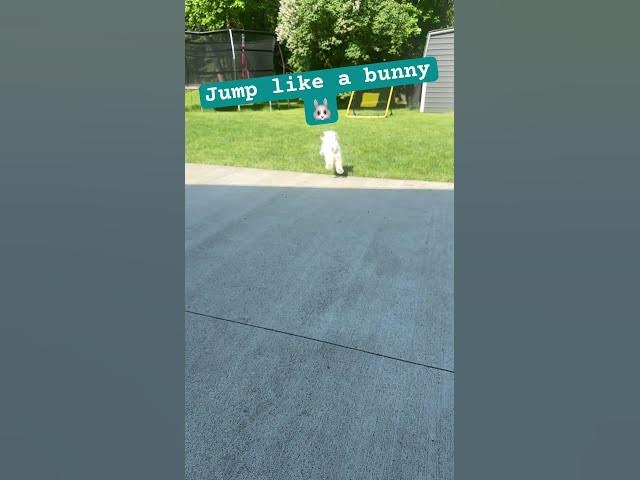 Video thumbnail for 👋 #shorts