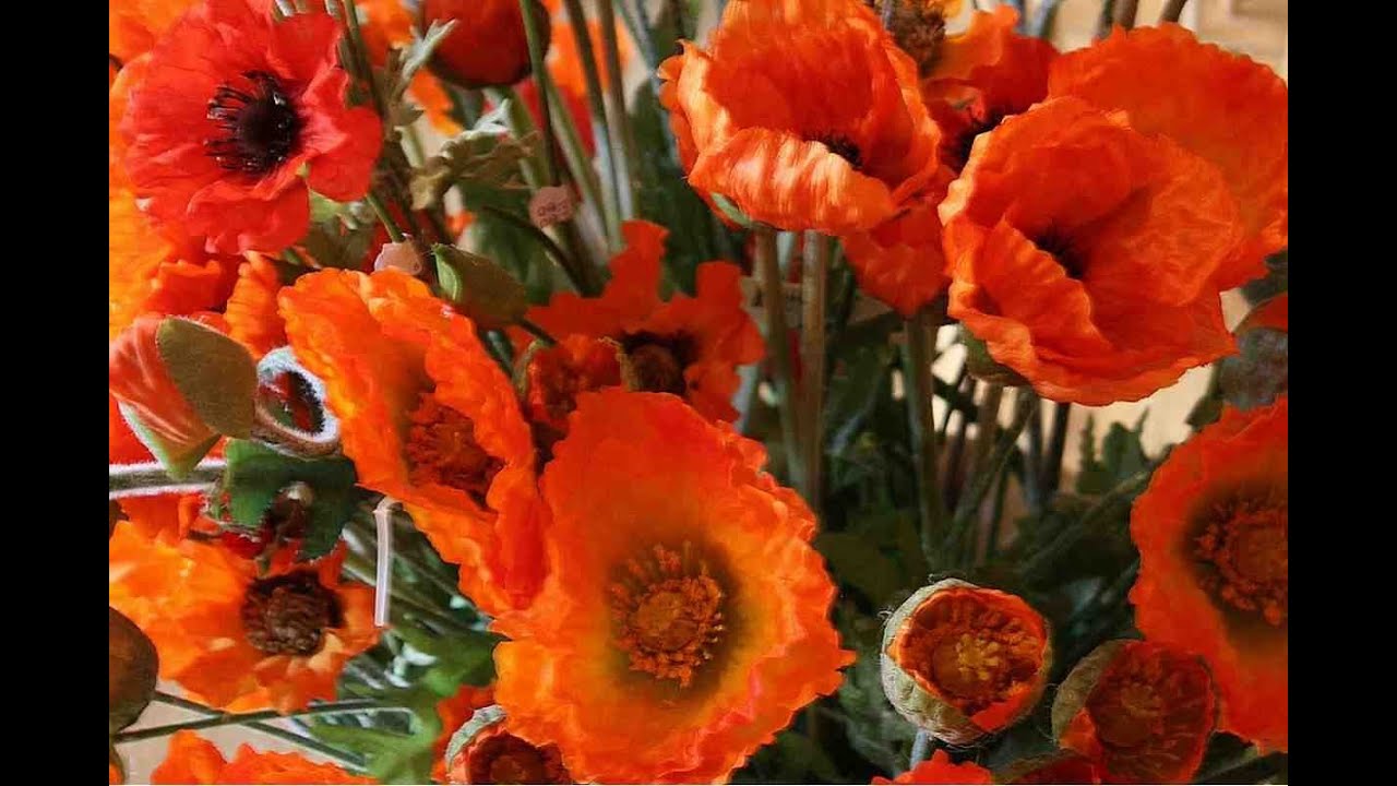 'Video thumbnail for Im Mohndorf Armschlag im Waldviertel'