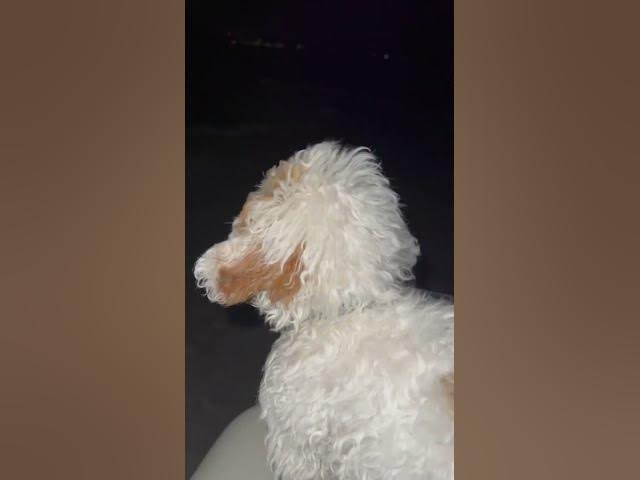 Video thumbnail for Day 8️⃣ #shorts