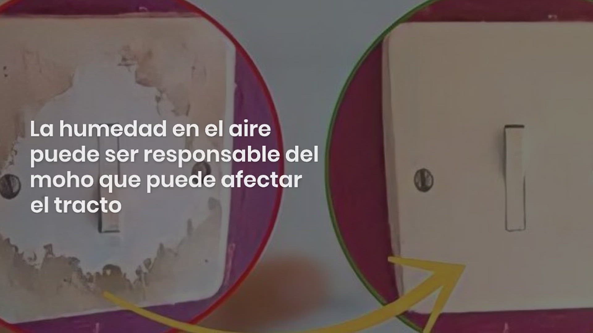 Video thumbnail for Aqui te mostramos como hacer un absorbente de humedad para aromatizar la casa de una manera facil y economica: