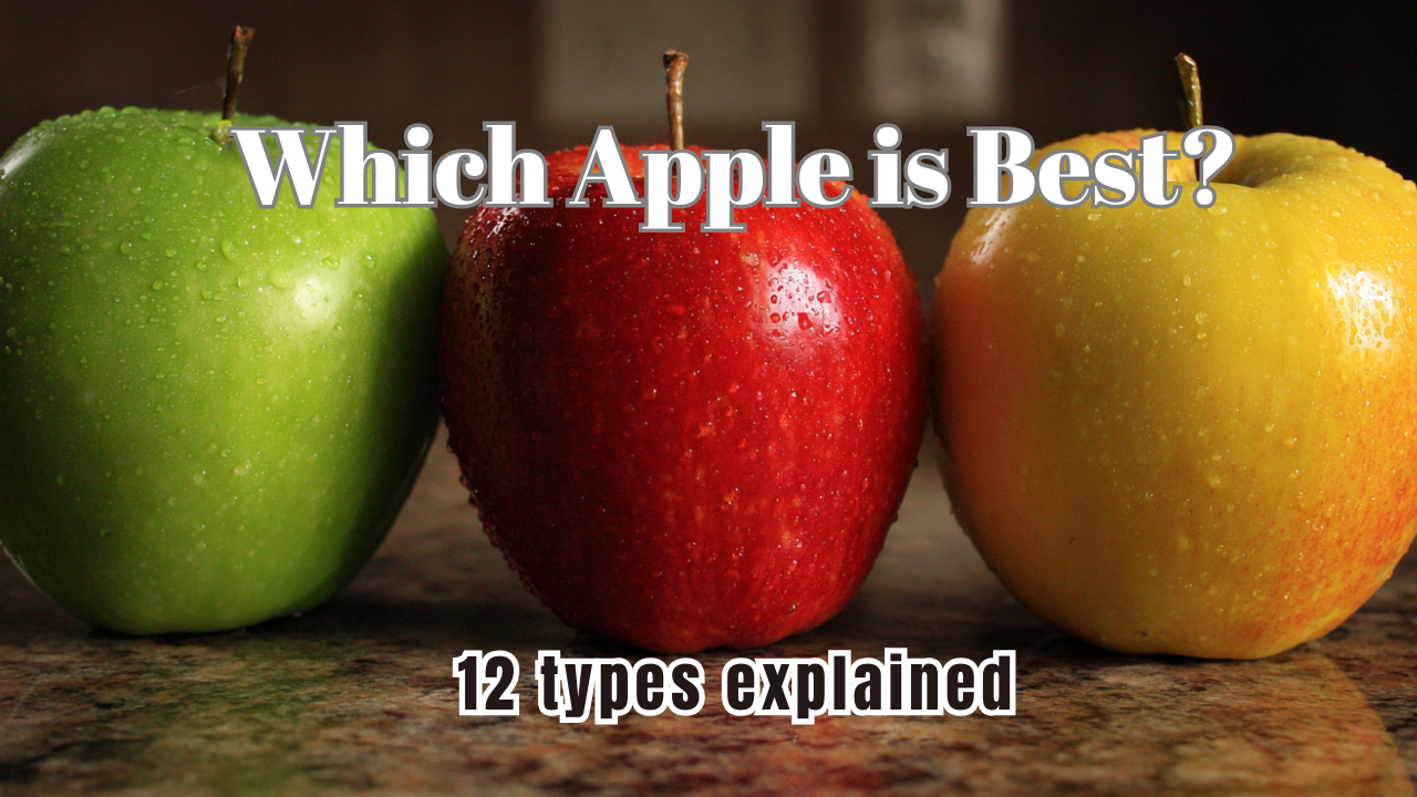 Video thumbnail for 12 Apple Varieties Explained | Best Apples for Baking, Cooking & Snacking