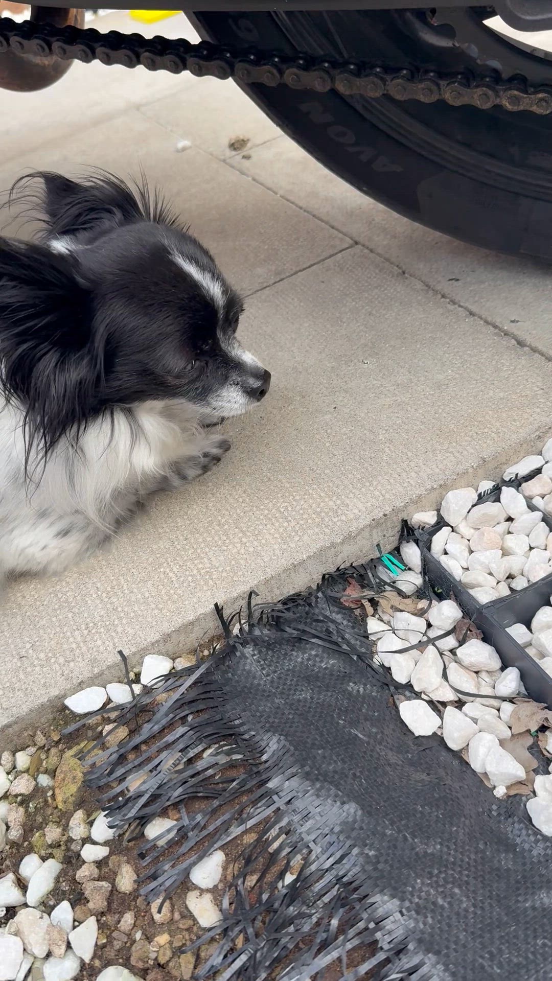 Video thumbnail for IMG 0847