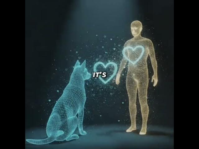 Video thumbnail for They say dogs never really leave, and maybe that's true.