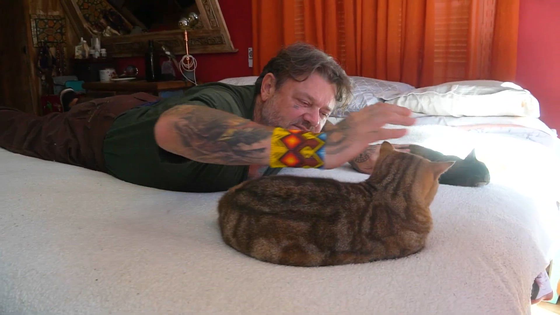 'Video thumbnail for CATNIP, A MACONHA PRA GATOS?'