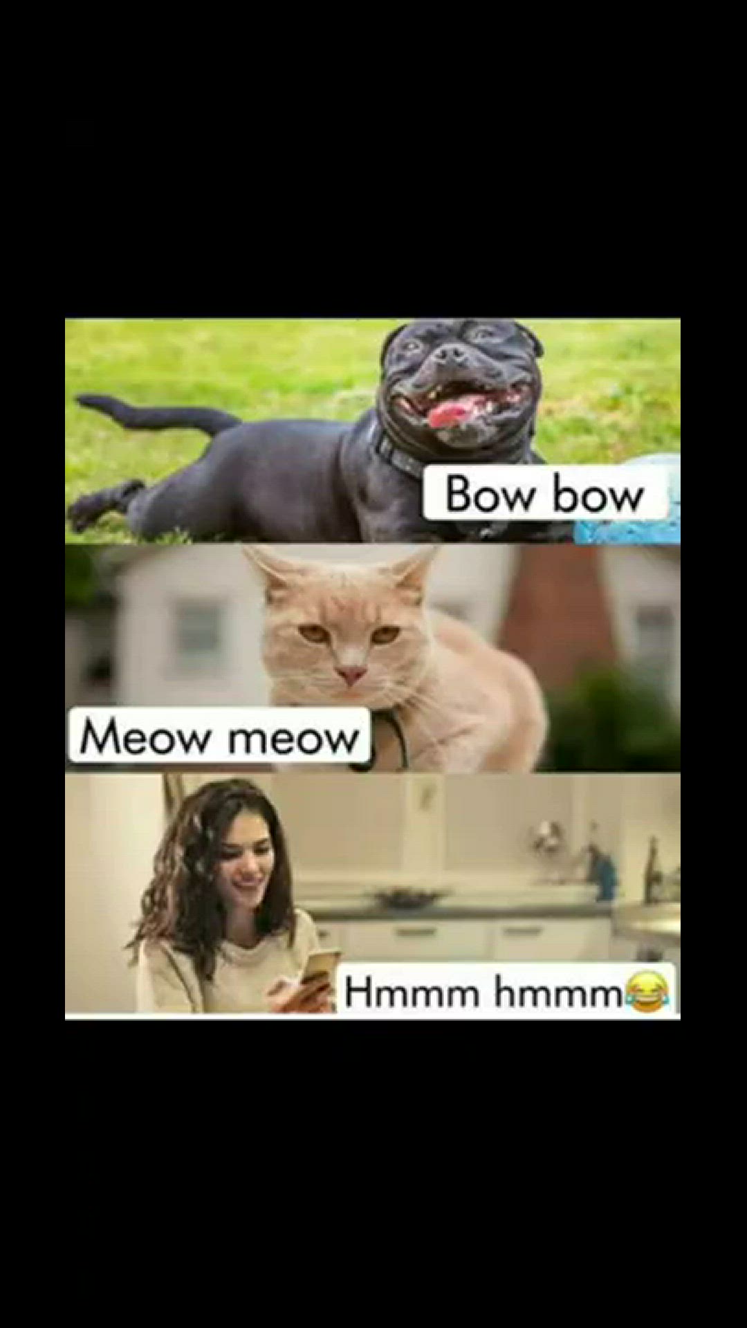 'Video thumbnail for Memes only Legends will find funny ,op memes | Relatable memes | #78 #shorts #memes #anonymous #meme'
