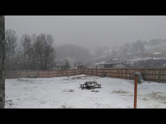 Video thumbnail for SNOW FOR CHRISTMAS 2020