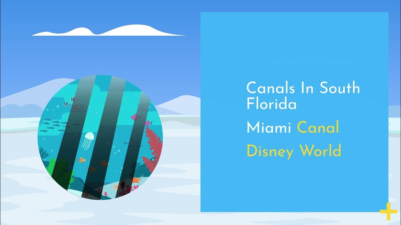 Video thumbnail for Florida Canal Fishing