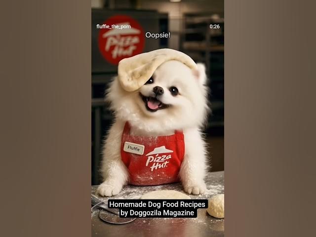 Video thumbnail for Homemade dog food recipes
