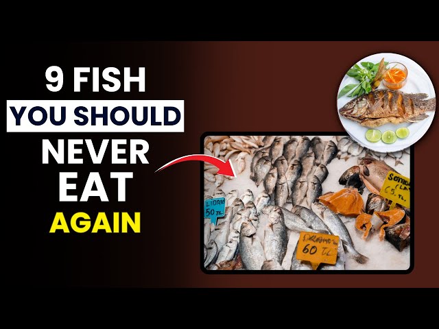 Video thumbnail for 9 Fish You Should NEVER Eat Again | Top 9 Fish to Avoid for Your Health | FitWise Daily