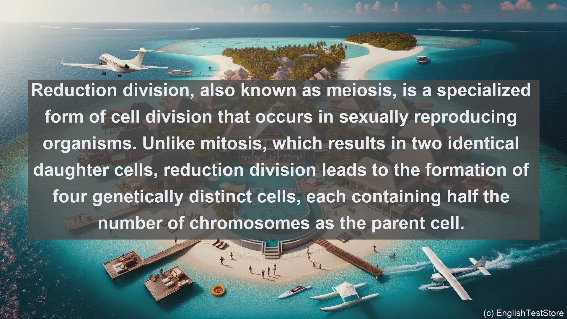 'Video thumbnail for Reduction division in science  definition and examples'
