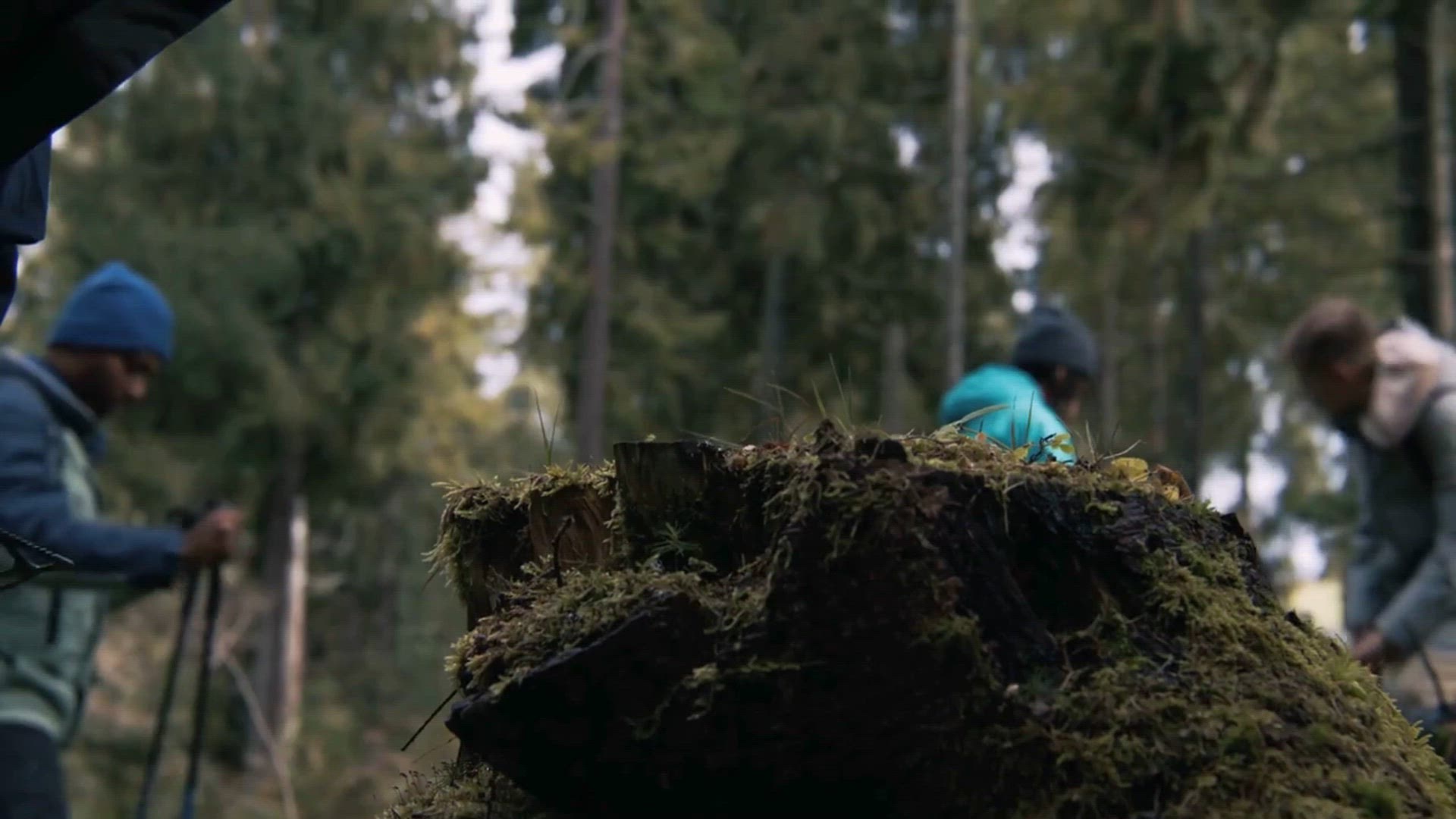 video of: Buddy Heater Safety Test: Does It Really Work?