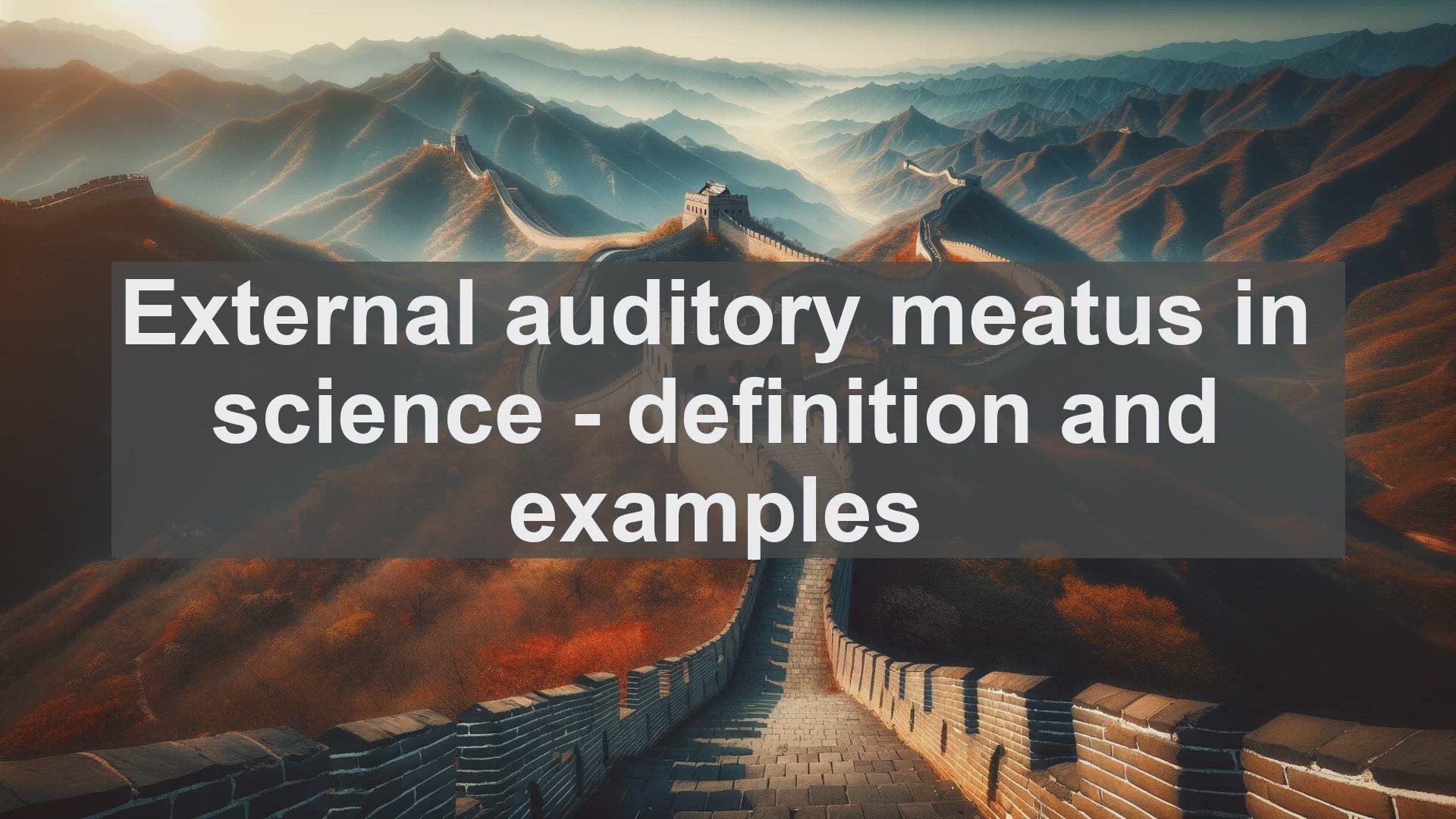 'Video thumbnail for External auditory meatus in science  definition and examples'