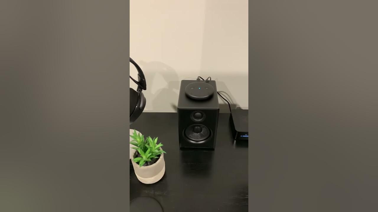 Video thumbnail for Amazon Echo Input