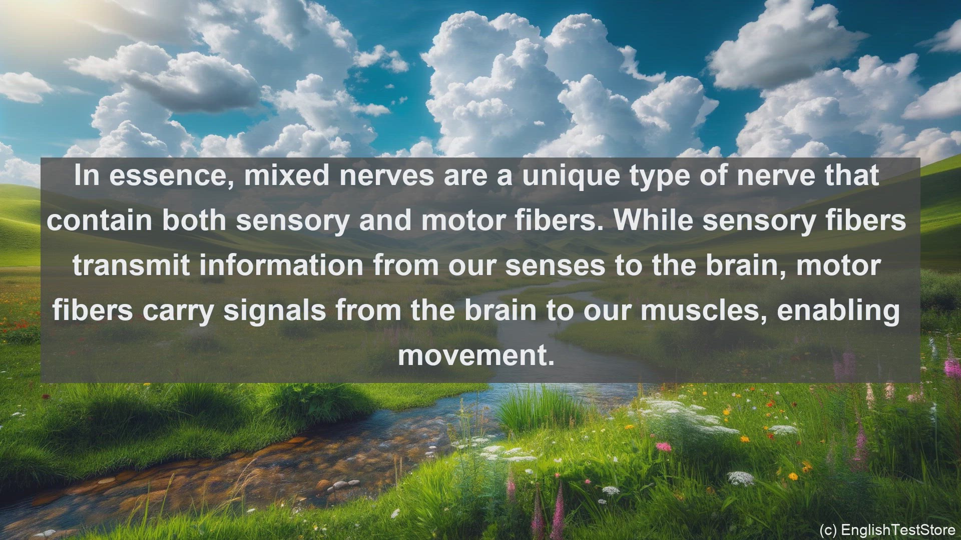 'Video thumbnail for Mixed nerve in science  definition and examples'