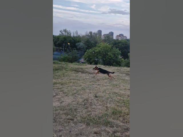 Video thumbnail for with dad