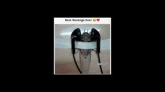 'Video thumbnail for Memes only Legends will find funny,op memes | Relatable memes | #179 #shorts #memes #anonymous #meme'