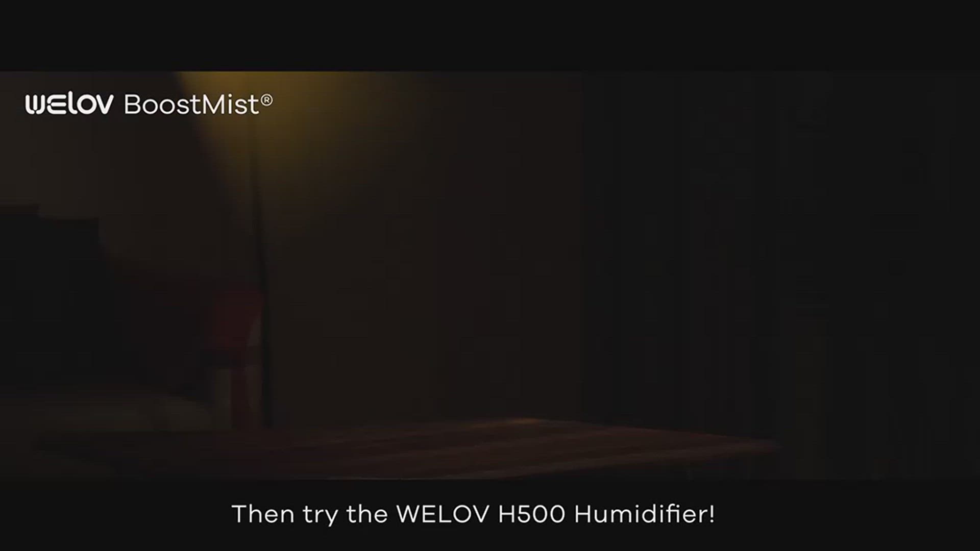 'Video thumbnail for Welove Humidifier'