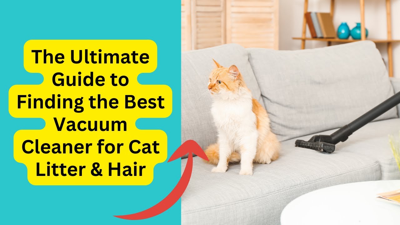'Video thumbnail for The Ultimate Guide to Finding the Best Vacuum Cleaner for Cat Litter & Hair'