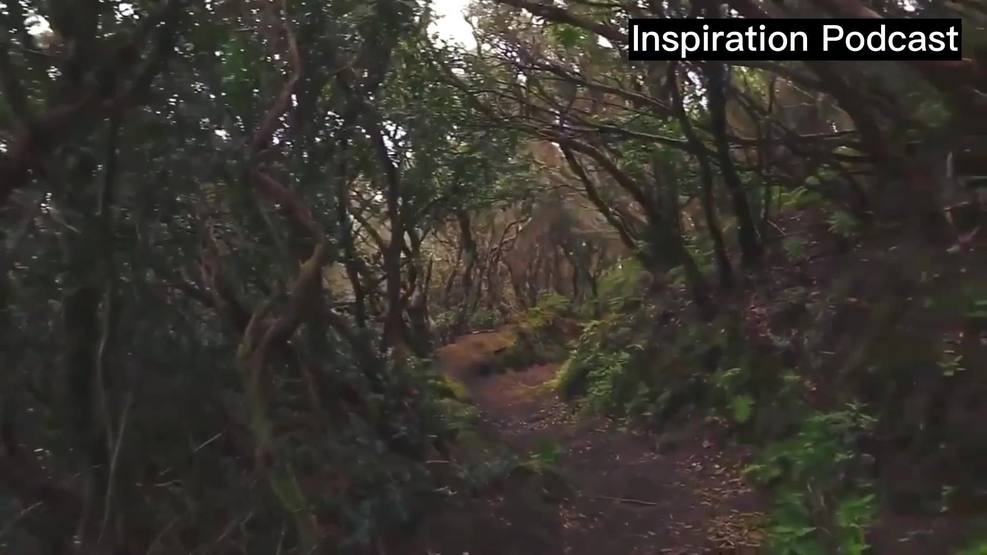 'Video thumbnail for Acceptance is key to Happiness'