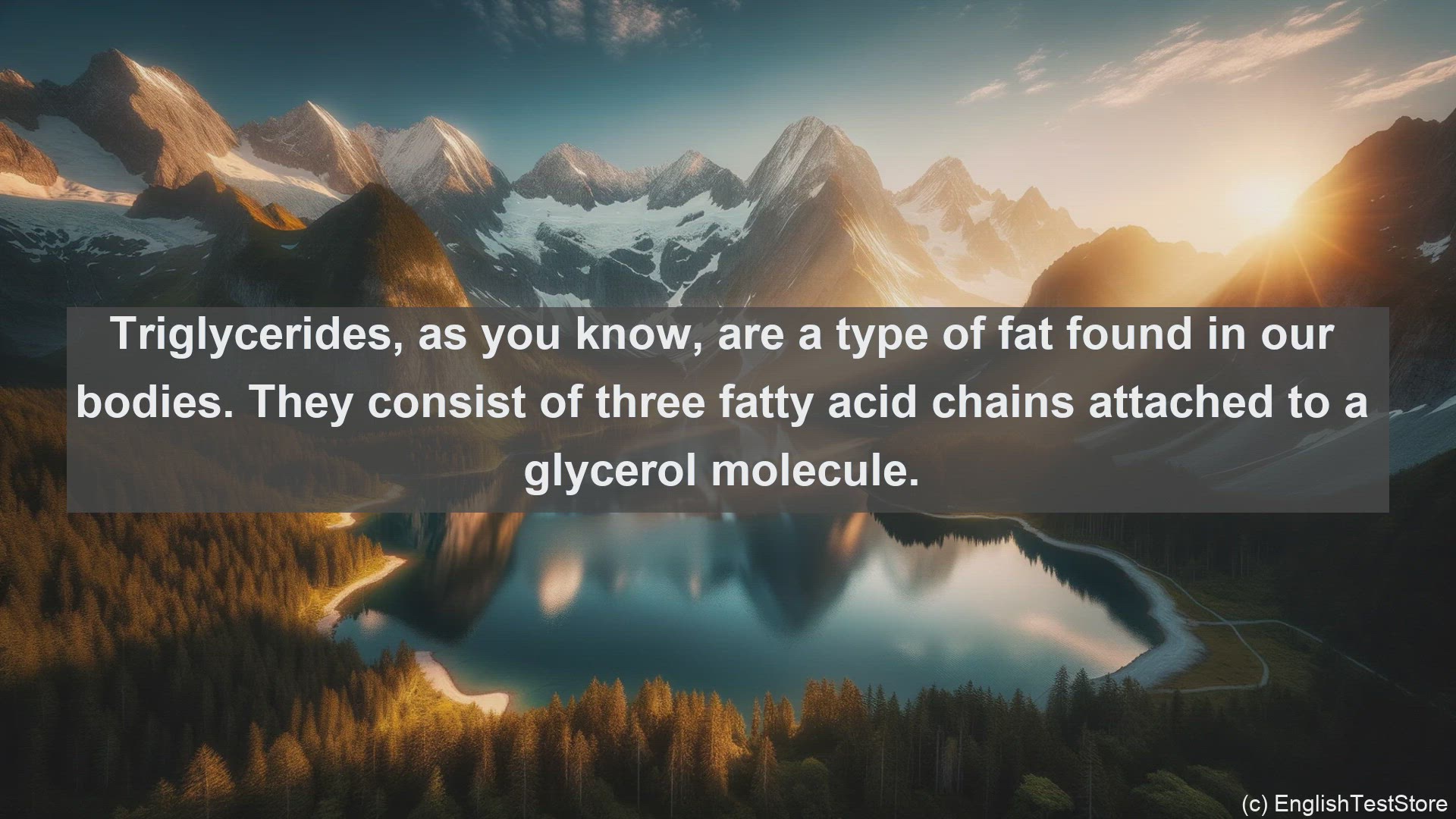 'Video thumbnail for Mixed triglycerides in science  definition and examples'