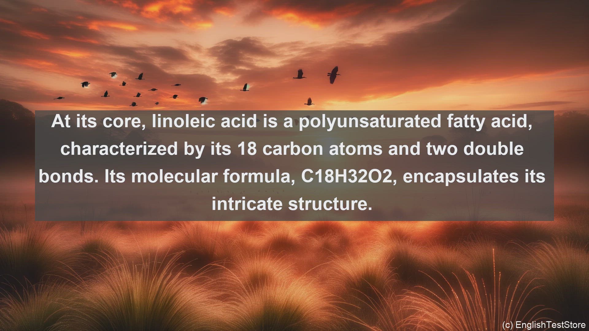 'Video thumbnail for Linoleic acid in science  definition and examples'