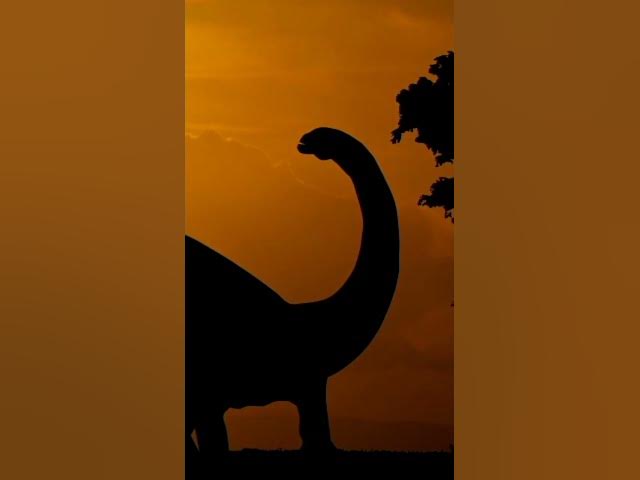 'Video thumbnail for Dinosaur Feathered Wonders | enjoy with dino fun facts'