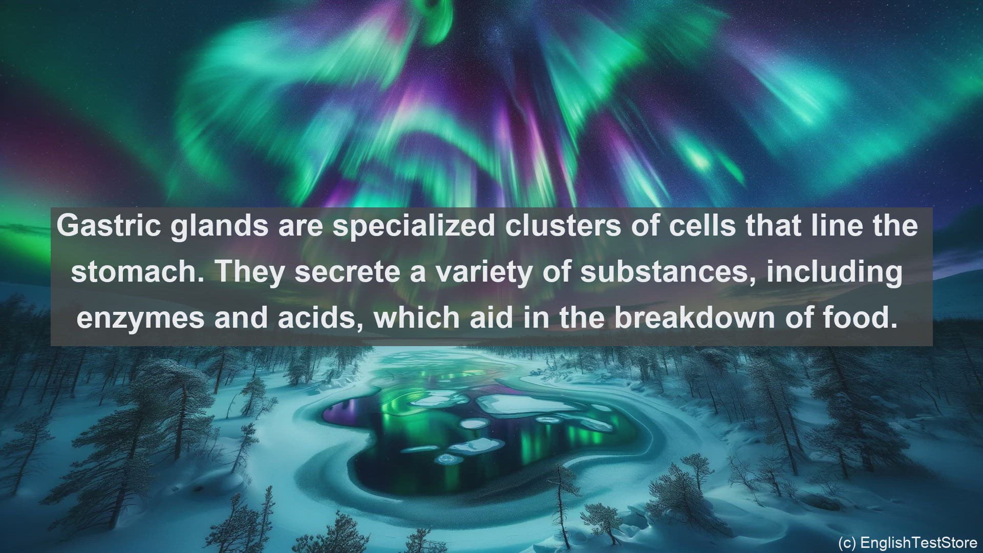 'Video thumbnail for Gastric glands in science  definition and examples'