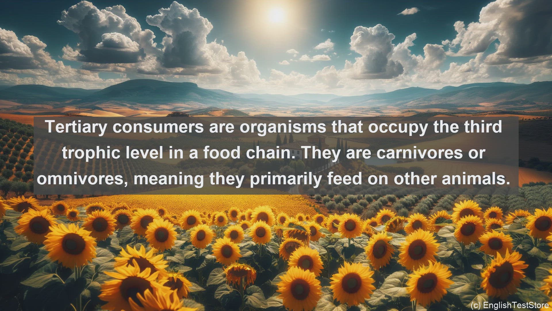 'Video thumbnail for Tertiary consumer in science  definition and examples'