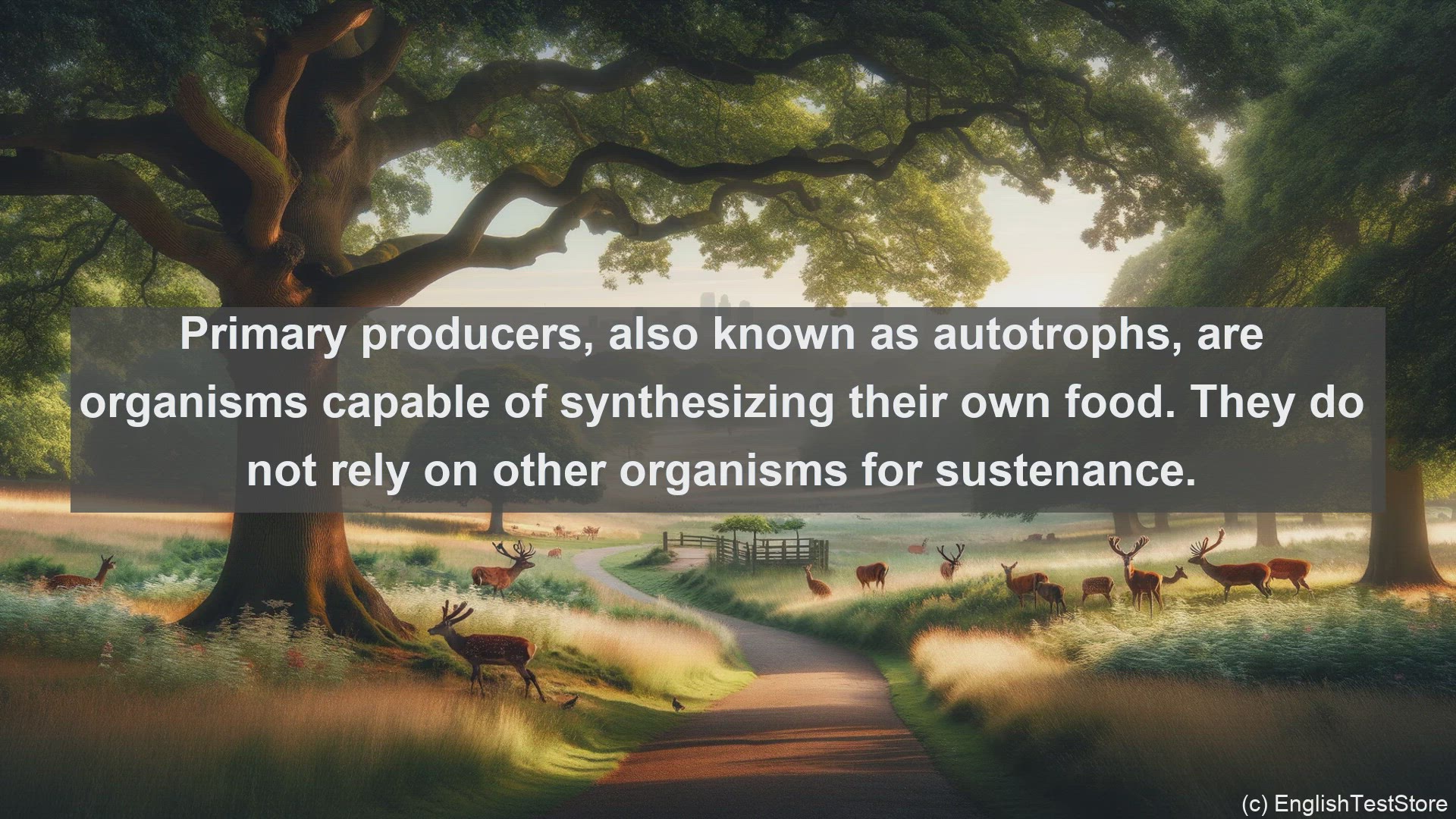 'Video thumbnail for Primary producer in science  definition and examples'