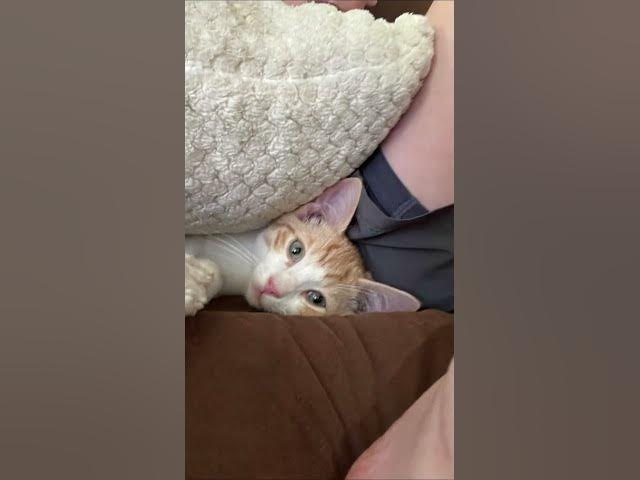 Video thumbnail for Well miss you dodo