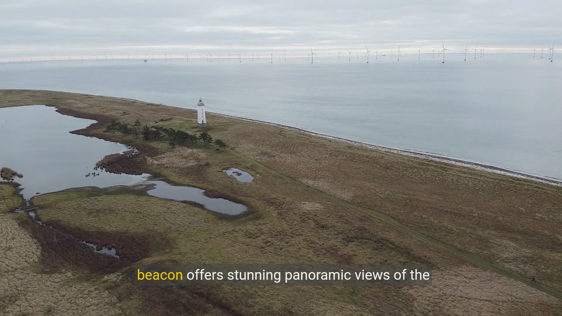 Video thumbnail for Top 10 Things to Do on Tybee Island, Georgia