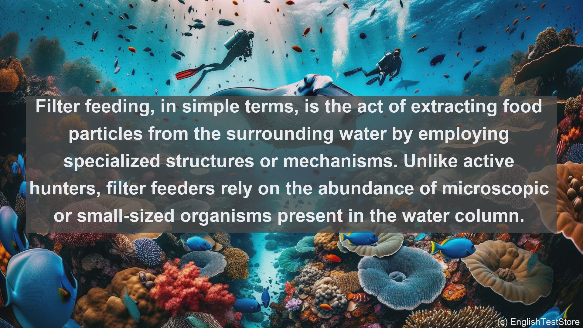 'Video thumbnail for Lter feeding in science  definition and examples'