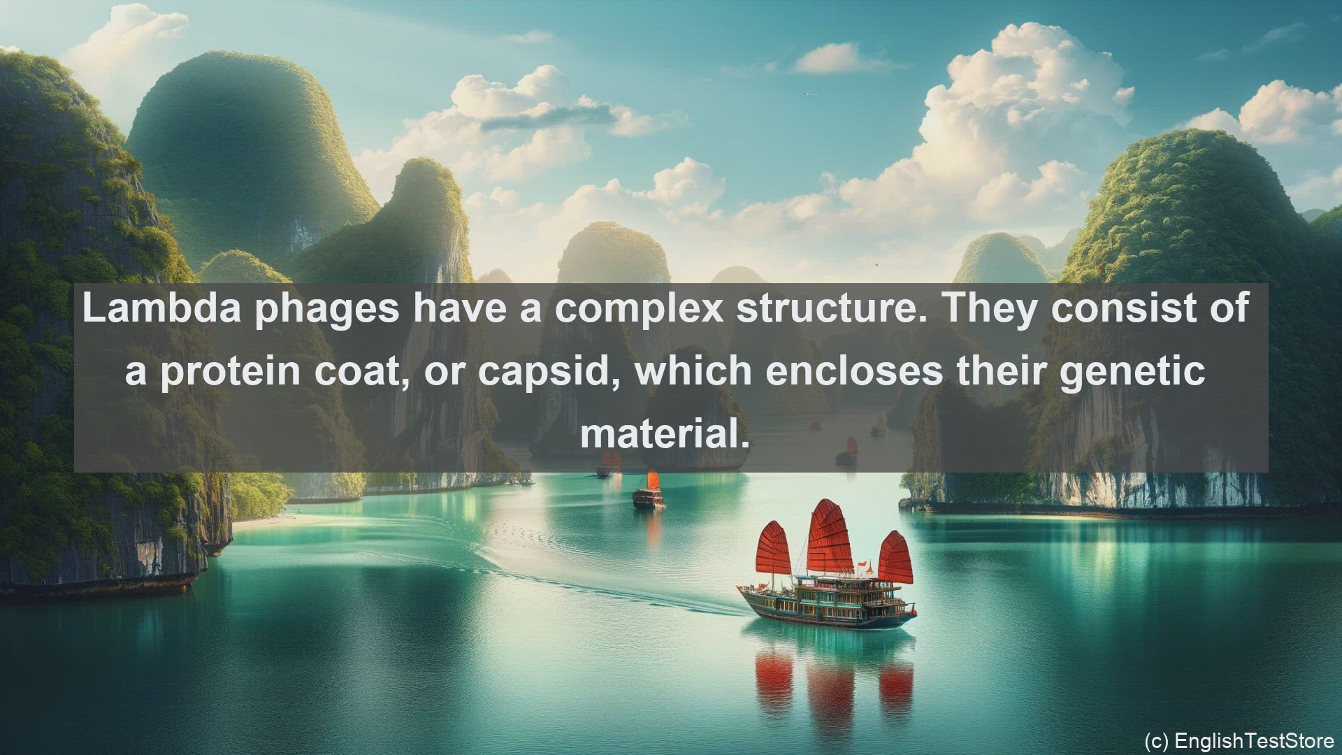 'Video thumbnail for Lambda phage in science  definition and examples'