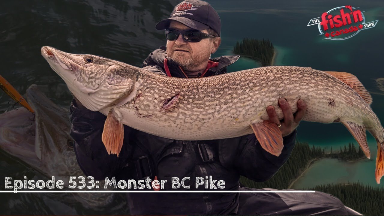 Monster British Columbia Pike