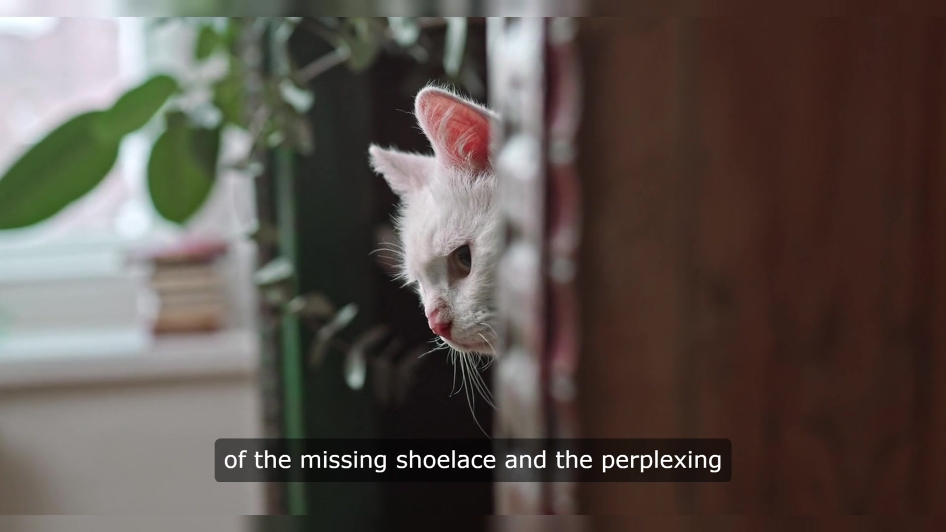 Video thumbnail for Inch High Private Eye: Miniature Detective