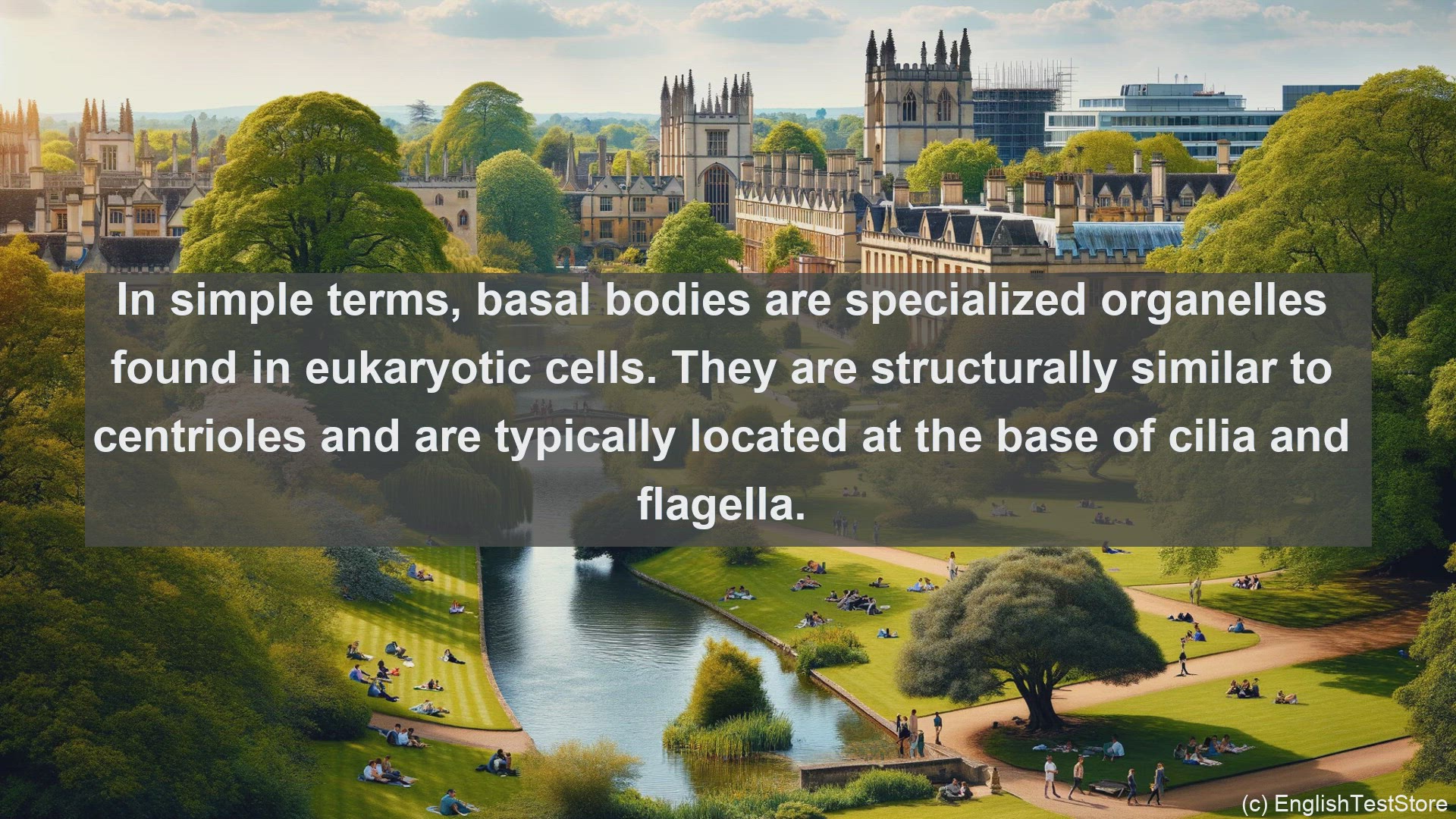 'Video thumbnail for Basal body in science  definition and examples'