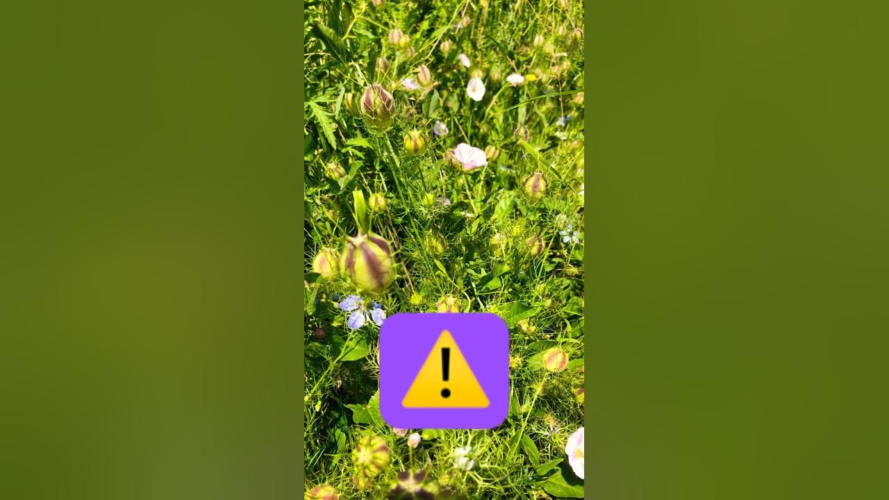 'Video thumbnail for Pour que Vos prières soient suivies d’effet faites ceci 🙏 #prière'