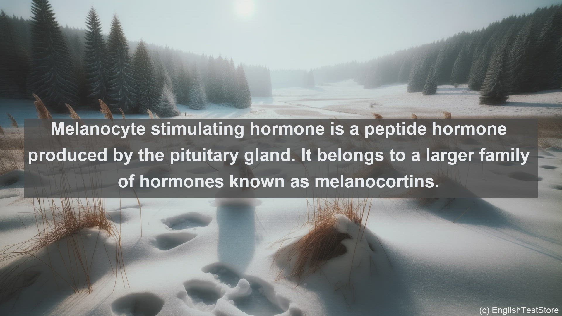 'Video thumbnail for Melanocyte stimulating hormone in science  definition and examples'